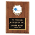 6" x 8" American Walnut Plaque with Gold Border Black Laserable Brass Plate and 2" Insert Holder- Witney Series (2" Inserts Sold Seperately)