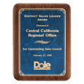 7" X 9" American Walnut Plaque with Gold Border Sapphire Marble LaserFX Plate