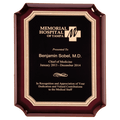 Rosewood High Gloss Plaque with Black Gold 7" x 9" Florentine Border LaserFX Plate